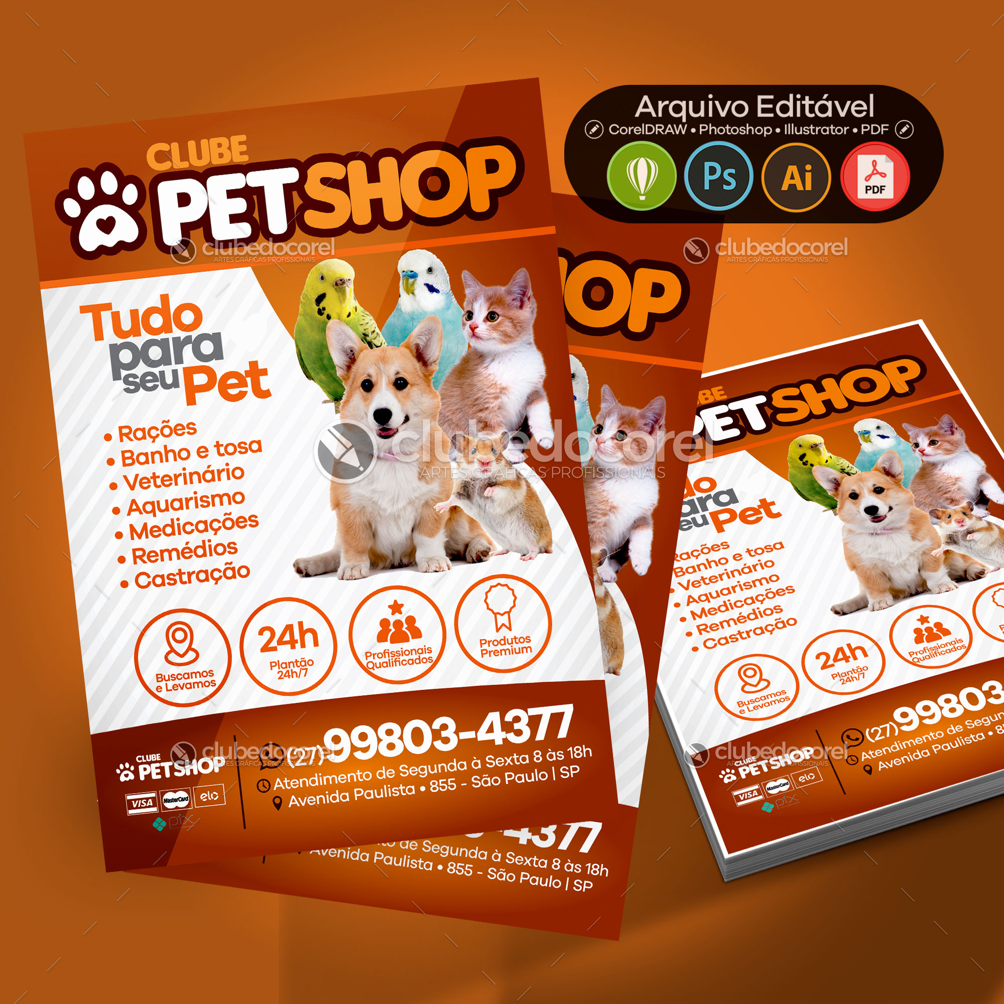 Pet Shop Veterinario - Panfleto / Flyer / Folder #04