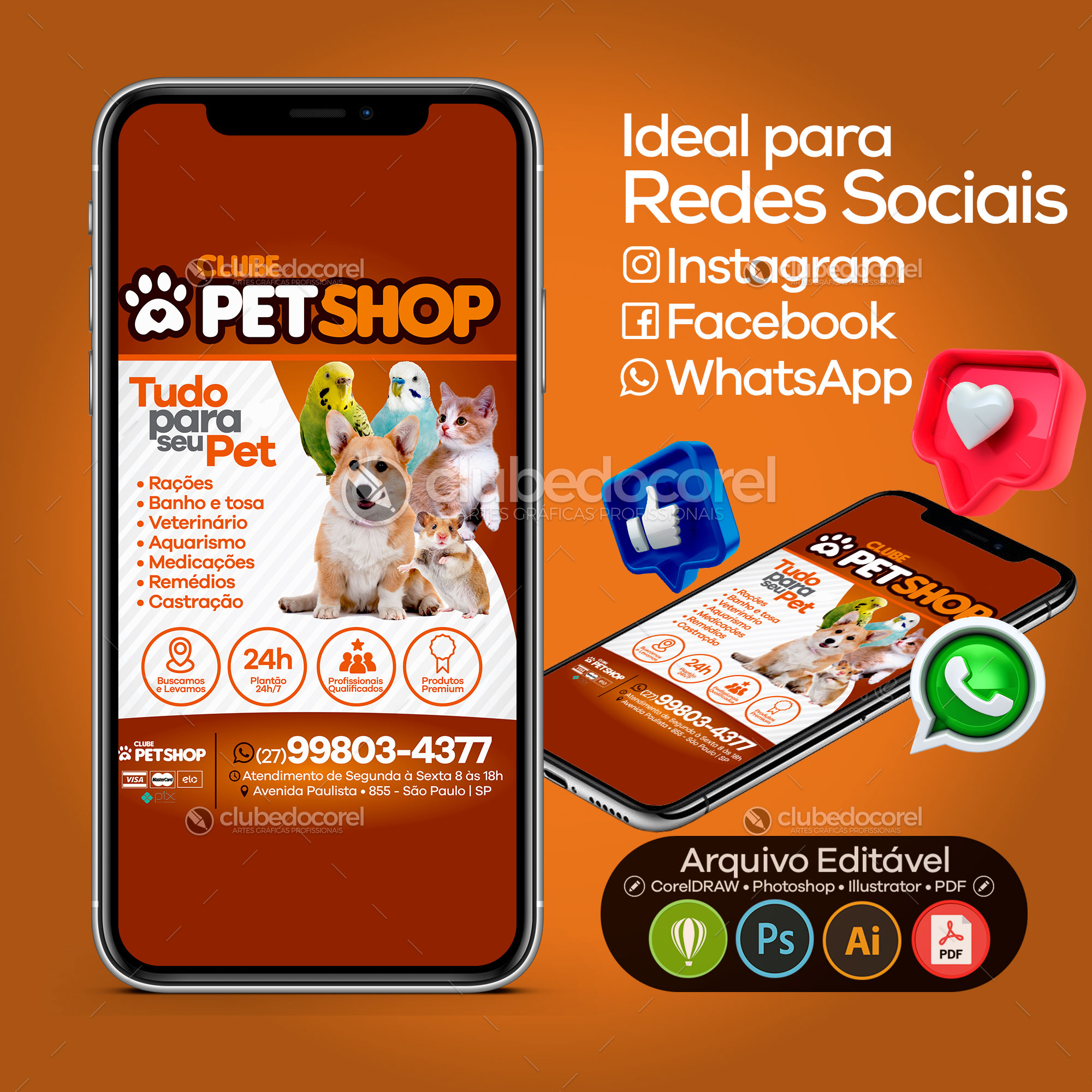 Pet Shop Veterinario - Panfleto / Flyer / Folder #04